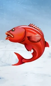 Ice Fishing