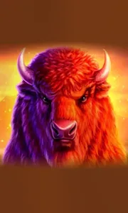 Buffalo 50